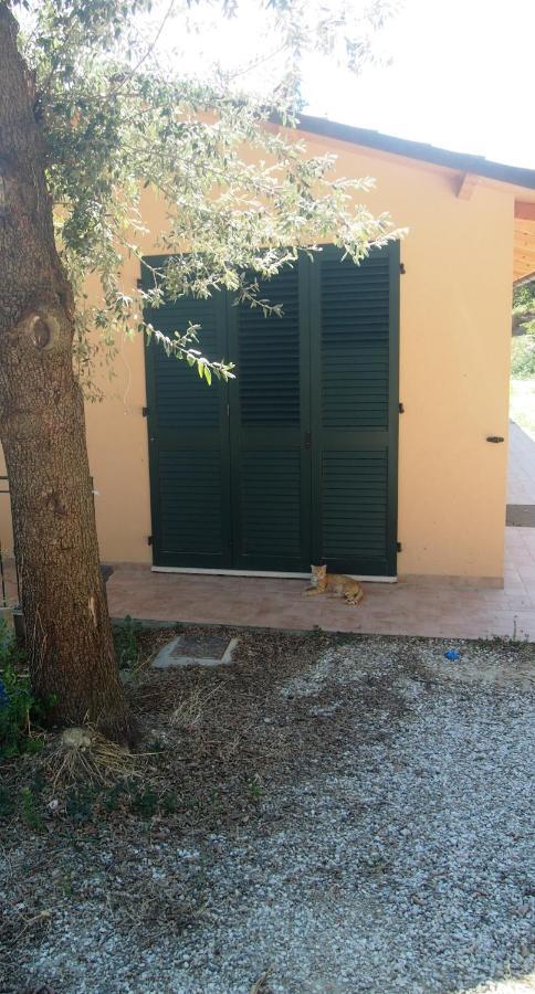 Agriturismo Ardizio 43 Pesaro Exterior photo